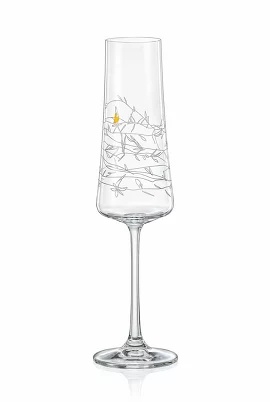 Бокал для шампанского (2 шт. по 210 мл) Экстра Crystalex C. Z.
