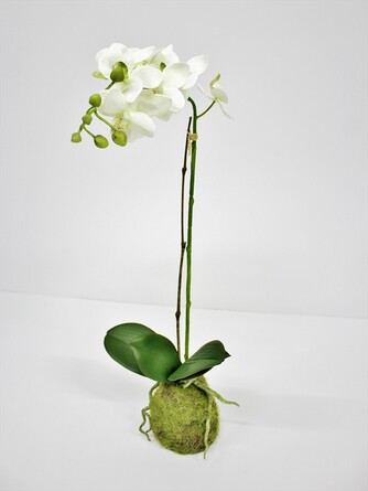 Орхидея в декоративном кашпо 57 см Coneko