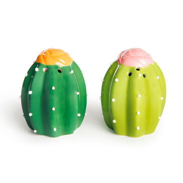 Набор из солонки и перечницы Cactus Excelsa