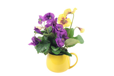 Анютины глазки (Шелк) AltFlowers