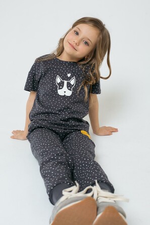 Брюки №1272 Собачки Crockid