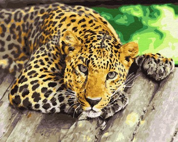 Картина для рисования по номерам на подрамнике. Грустный леопард ВанГогВоМне, 3