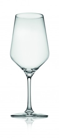Набор бокалов для белого вина Tasting hour (2 шт. по 490 мл) IVV