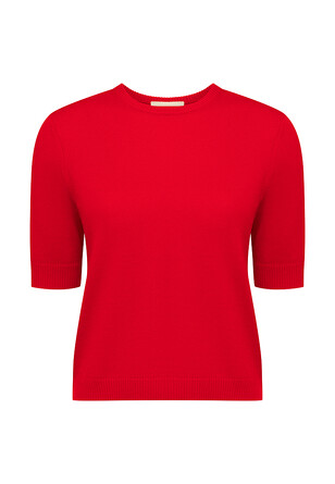 Футболка с кашемиром Алая Роскошь Amur by Marushik