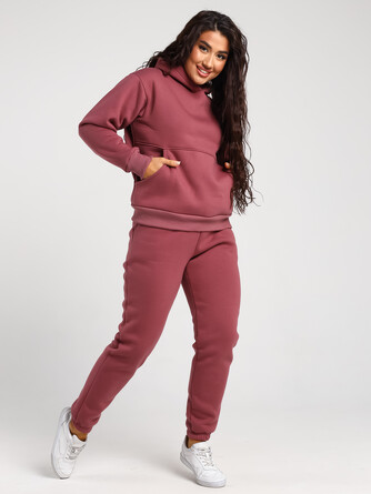 Костюм с начесом (худи и брюки) Dianida