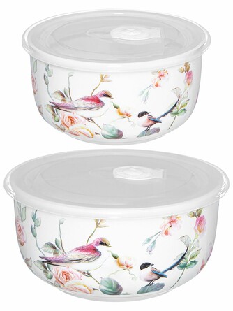 Набор салатников Певчие птички (500 мл и 1000 мл) Elan Gallery
