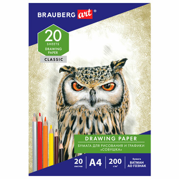 Бумага для рисования А4 20л 200г/м2 Brauberg
