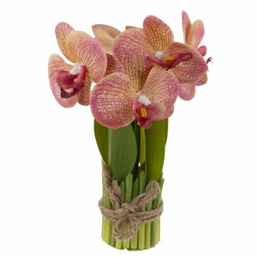 Композиция цветочная Орхидея 14х27х14 см the Mia