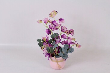 Горошек фиолетовый AltFlowers