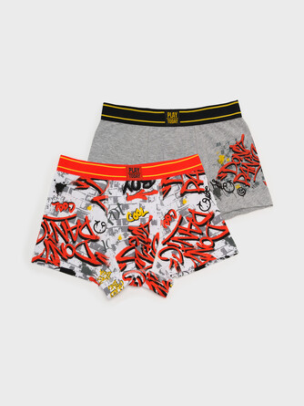 Трусы-боксеры (2 шт.) Graffity PlayToday