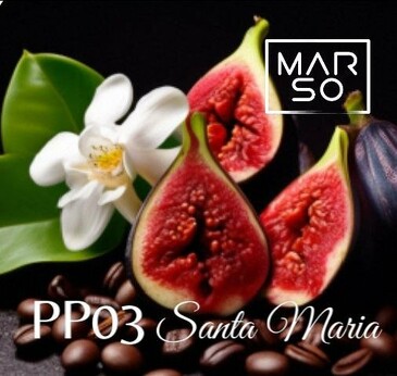 Парфюм авторский Santa Maria (Санта Мария) 30 мл Marso