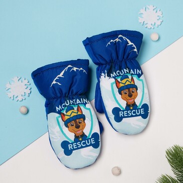 Рукавицы (варежки) зимние Paw Patrol. Mountain Kaftan