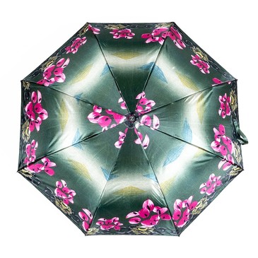 Зонт-автомат Zemsa