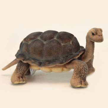 Черепаха галапагосская, 30 см Hansa