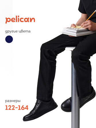 Брюки Pelican