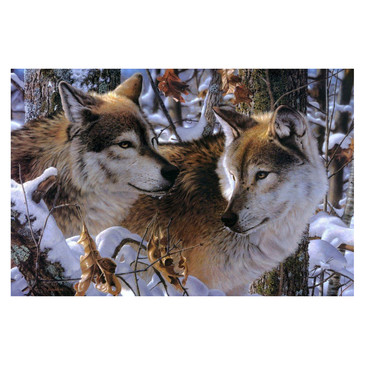 Вышивка бисером. Волки в зимнем лесу Color Kit