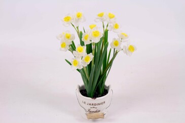 Нарциссы в ведёрке AltFlowers