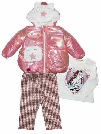 Комплект (куртка, лонгслив и леггинсы) Baby Rose