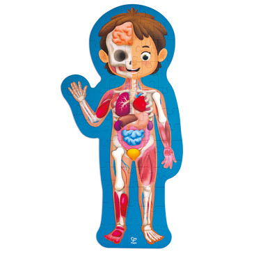 Пазл-игрушка детская Как устроено тело человека (60 элементов в кейсе), Hape