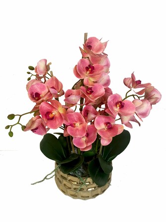 Композиция с орхидеями в кашпо Акценты