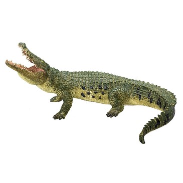 Крокодил Konik