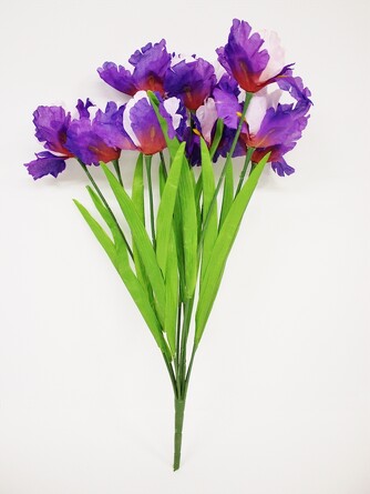 Букет ириса 52 см (3 шт.) Coneko