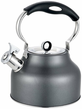 Чайник со свистком 2,5 л linea tea Regent Inox