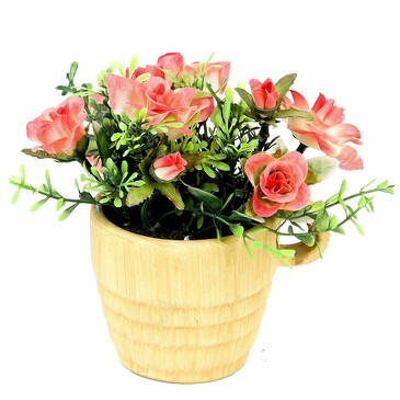 Цветок декоративный в горшке Роза кустовая Gloria Garden, 13,5х12,5х14