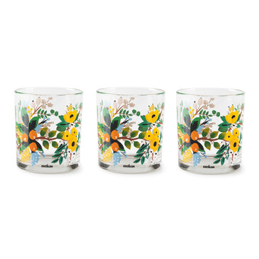 Набор из 3-х стаканов Fiori Frida, 250 мл Excelsa