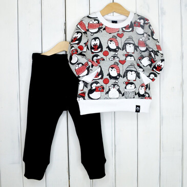 Комплект (джемпер и брюки) Пингвины Baby Boom