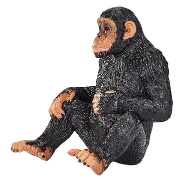 Шимпанзе Konik