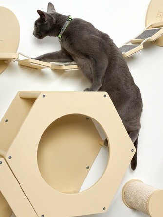 Сота для настенного игрового комплекса для кошек с большим круглым окошком 26,5х48х42 см Kotomoto