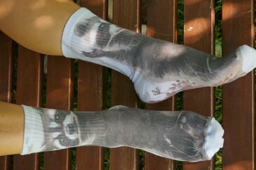 Носки хлопковые Енот Привет Cotton Print 