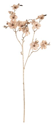 Ветка Кизила золотая 67 см TonoSUTono