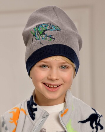 Шапка демисезонная Джанго Dan&Dani