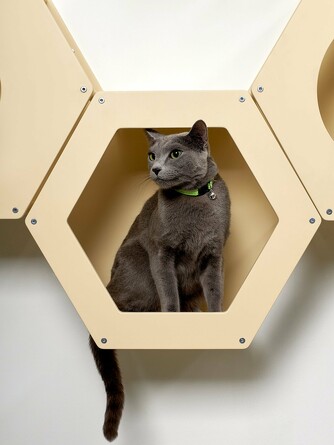 Сота для настенного игрового комплекса для кошек с шестигранным окошком 26,5х48х42 см Kotomoto
