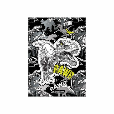 Папка-уголок пластиковая Dinosaur Park, A4 (12 шт.) ErichKrause