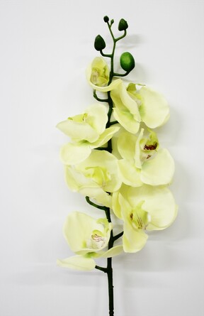 Орхидея Фаленопсис 76 см Coneko