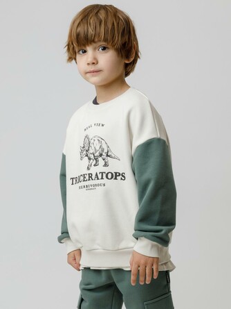 Свитшот Crockid