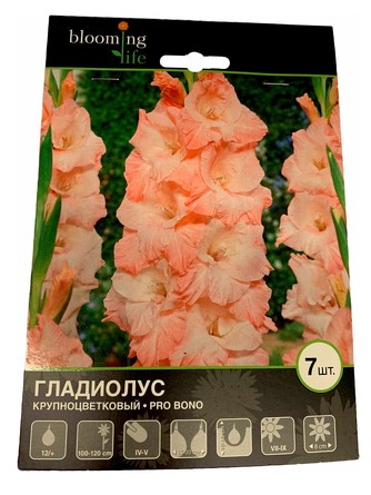 Гладиолус крупноцветковый Про Боно (7 клубней) Blooming Life