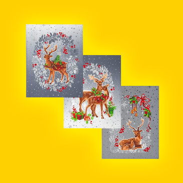 Набор полотенец (3 шт.) Bravo