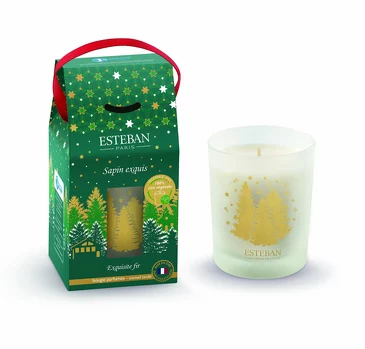Аромасвеча Праздничная хвоя 180 г  Esteban Paris Parfums