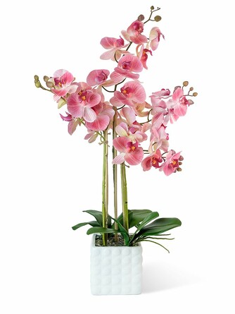 Орхидея 5 веток в керамическом кашпо-квадрат Gerard de ros