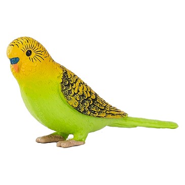 Волнистый попугайчик, зелёный Konik