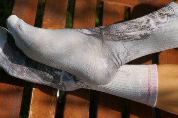 Носки хлопковые Сова в зимнем лесу Cotton Print 