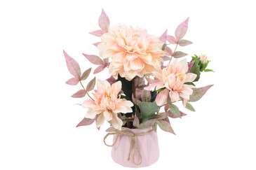 Георгины AltFlowers