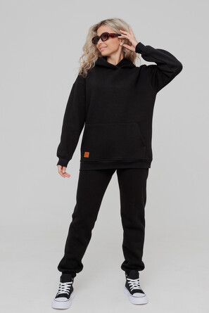 Костюм с начесом (толстовка, брюки) Dianida