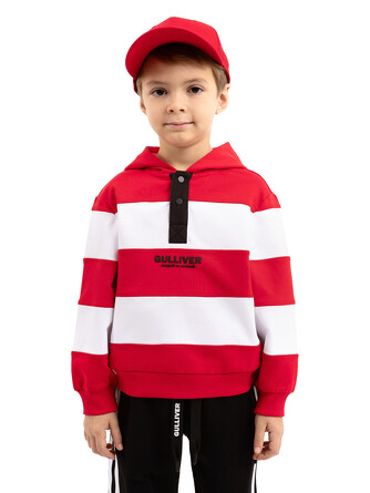 Толстовка Gulliver