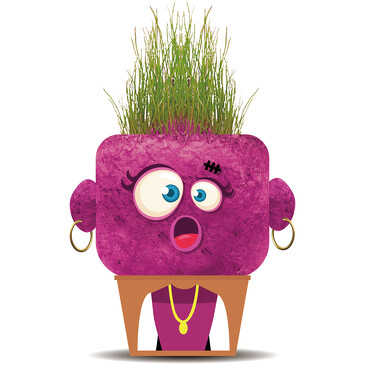 Набор игровой. Садовод: Удивленный Монстр, Hape