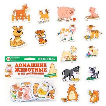 Набор Домашние животные и их детеныши (24 дет.) Mag-Rus